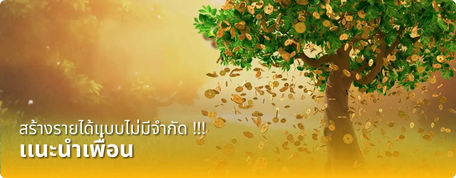 deva555 promotion2
